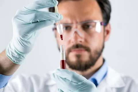 Scientist analyzing blood test sample in laboratory Stock Photos