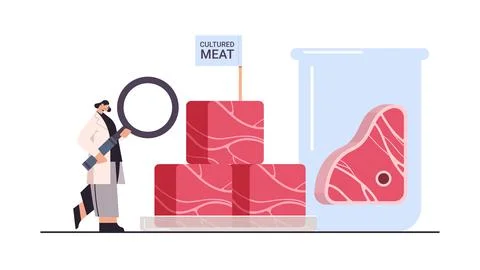 Scientist analyzing cultured red raw meat made from animal cells artificial lab Stock Illustration