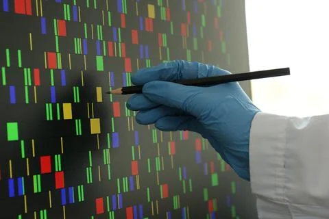Scientist analyzing DNA data in laboratory, closeup Stock Photos