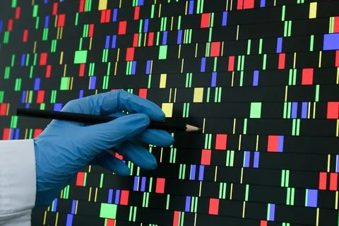 Scientist analyzing DNA data in laboratory, closeup Stockfoto's