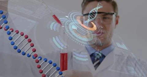 Scientist analyzing DNA sequence with futuristic digital interface in laboratory Stock Photos