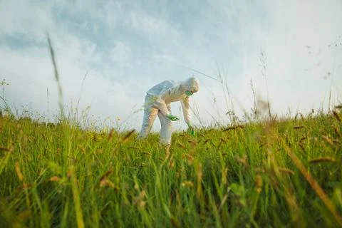 Scientist analyzing green plants on summer field Stock Photos