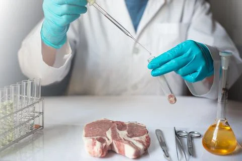 Scientist analyzing meat sample in laboratory for food safety and quality t.. Stock Photos