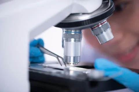 Scientist analyzing microscope slide at laboratory. Young woman technician is Stock Photos