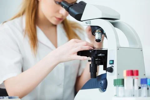 Scientist analyzing microscope slide at laboratory. Female Working in Laboratory Stock Photos