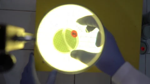 Scientist Analyzing Petri Dish Under Magnified Colony Counter Grid Vídeos de archivo 334941234