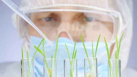 Scientist analyzing plants. Close-up shot. Stock Footage 75306430