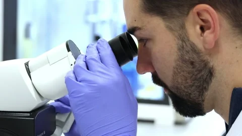 Scientist analyzing sample with modern microscope in laboratory Stock Footage 296884308