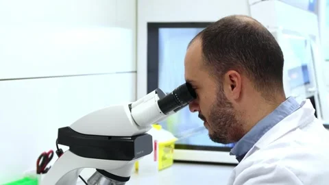 Scientist analyzing samples with modern microscope in laboratory Stock Footage 296884291