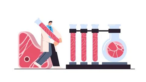 Scientist analyzing test tubes with cultured red raw meat made from animal cells Stock Illustration