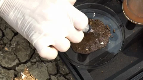 Scientist analyzing water and soil for soil deterioration solutions. Stock Footage 304575852