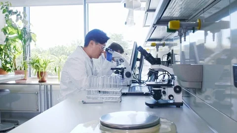 Scientist and his assistant working in lab. Doctor teaching intern to make Stock Footage 116117691