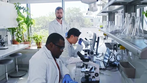 Scientist and students working in lab. Doctor teaching interns to make analyzing Stock Footage 115877959