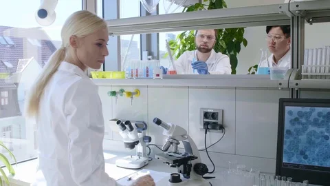 Scientist and students working in lab. Doctor teaching interns to make analyzing Stock Footage 116384259