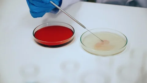 Scientist are experimenting with science of Covic-19 (coronavirus) Video stock 124788724