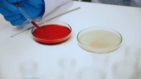 Scientist are experimenting with science of Covic-19 (coronavirus) Stock Footage 124788815