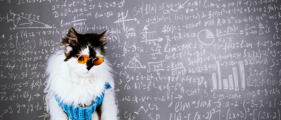 Scientist cat panoramic Stock Photos
