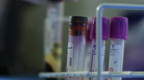 Scientist checking labels on cylinders Stock Footage 20446600