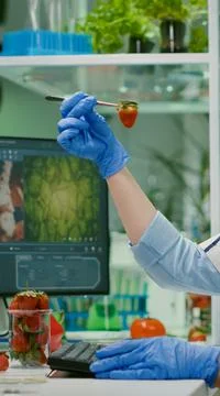 Scientist chemist checking strawberry using medical tweezers Stock Photos