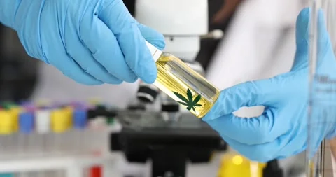 Scientist chemist holding bottle of marijuana in front of microscope in Stock Footage 257060725