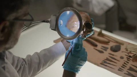 Scientist Cleaning Ancient Skull under Magnifying Glass for Lab Research Stock Footage 301595879
