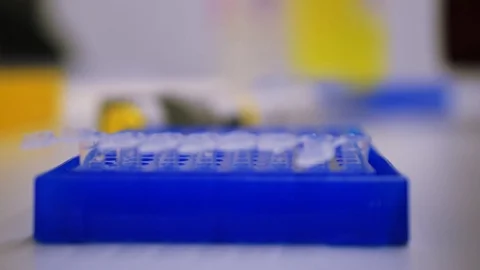 Scientist closes test tubes in laboratory. research, clinic, genetic, medical Stock Footage 92950353