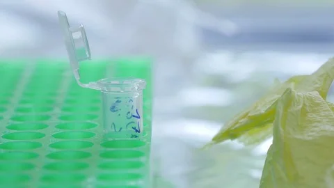 Scientist closing laboratory sample tube 4k Video stock 75064852