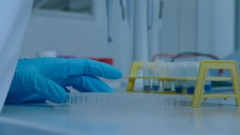 Scientist collecting sample in test tube Stock Footage 104247082
