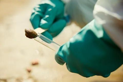 Scientist Collecting Soil Sample into Test Tube for Environmental Research Stock Photos
