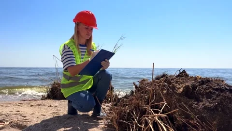 Scientist collects data and analyzes coastal beach environment for water quality Stock Footage 337452146