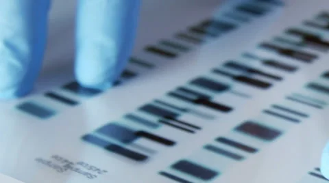 Scientist compares DNA profiles, tracking shot Stock Footage 49168797