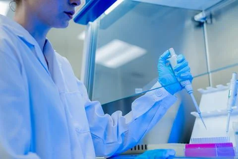 Scientist conducting laboratory experiments with precision pipette in a mod.. Stock Photos