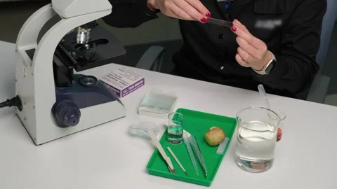 Scientist Conducting Microscopic Analysis in Laboratory Stock Footage 303369742