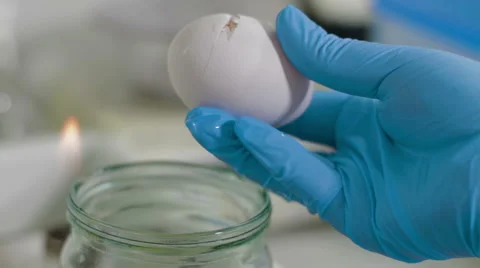 Scientist conducting test egg in food laboratory Stock Footage 62397791