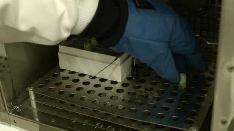 Scientist Conducting Tests in a Research Lab Stock Footage 61212929