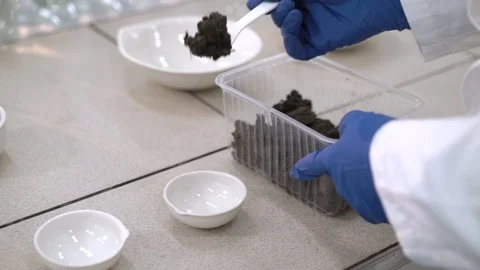 Scientist conducts experiments with soil in the laboratory Stock Footage 115101601