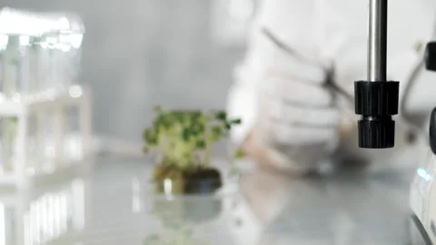 A scientist conducts research in a laboratory. Stock Footage 303623866