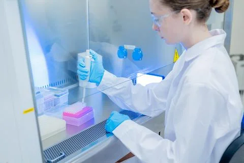 Scientist conducts research in laboratory using pipette and safety equipmen.. Stock Photos