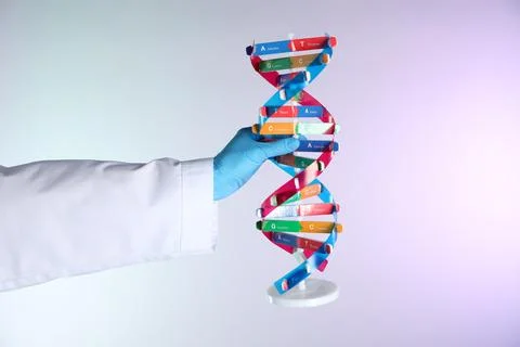 Scientist with DNA structure model on color background, closeup Stock Photos