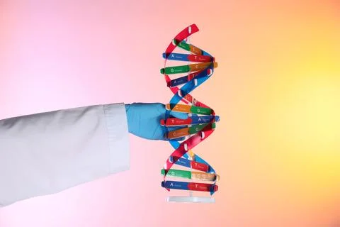 Scientist with DNA structure model on color background, closeup Stock Photos
