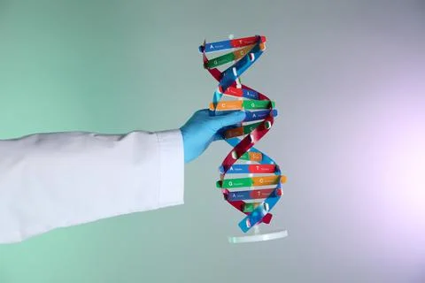 Scientist with DNA structure model on color background, closeup Stock Photos
