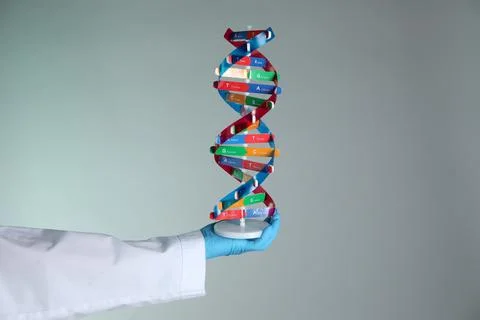 Scientist with DNA structure model on color background, closeup 스톡 사진