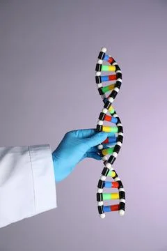Scientist with DNA structure model on color background, closeup Stock Photos