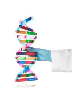 Scientist with DNA structure model on white background, closeup 스톡 사진