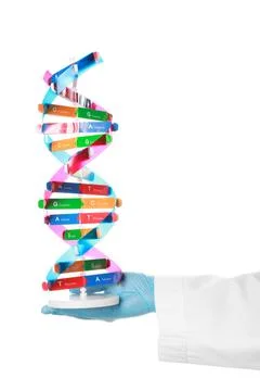 Scientist with DNA structure model on white background, closeup 스톡 사진