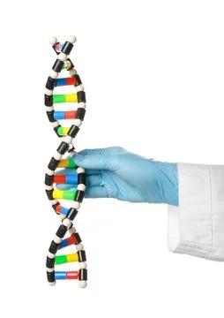 Scientist with DNA structure model on white background, closeup 스톡 사진