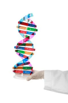 Scientist with DNA structure model on white background, closeup 스톡 사진