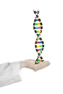 Scientist with DNA structure model on white background, closeup 写真素材