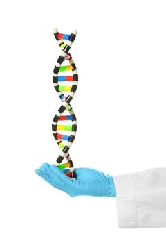 Scientist with DNA structure model on white background, closeup 스톡 사진