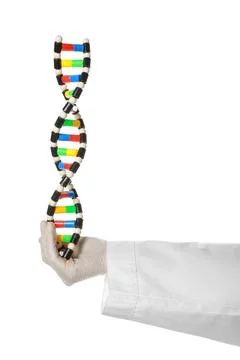 Scientist with DNA structure model on white background, closeup 스톡 사진
